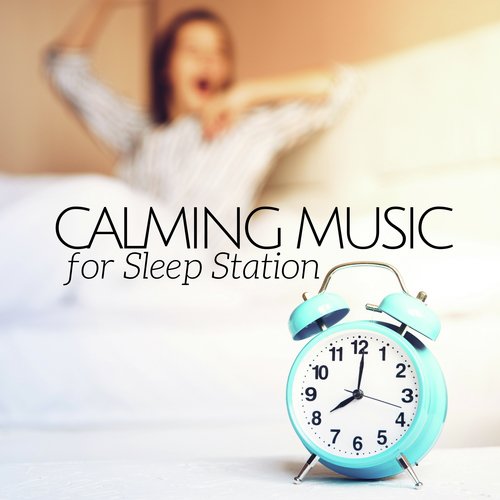 Sleeping Music for Babies cover art