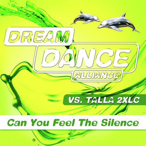 Can You Feel the Silence (We Do Voodoo Remix) cover art