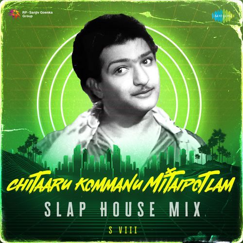 Chitaaru Kommanu Mitaipotlam - Slap House Mix