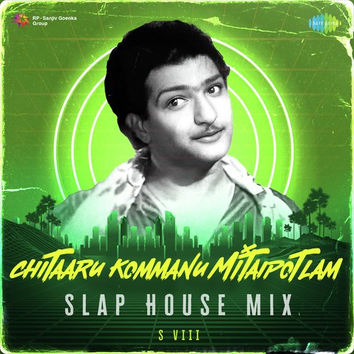 Chitaaru Kommanu Mitaipotlam - Slap House Mix