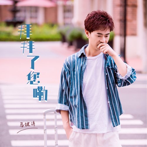 拜拜了您嘞 (DJ版) cover art