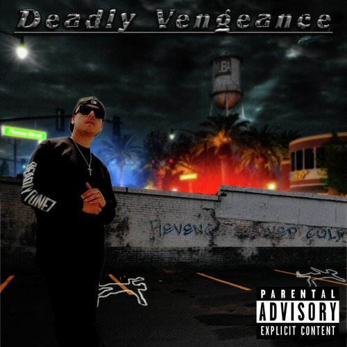 Deadly Vengeance_poster_image