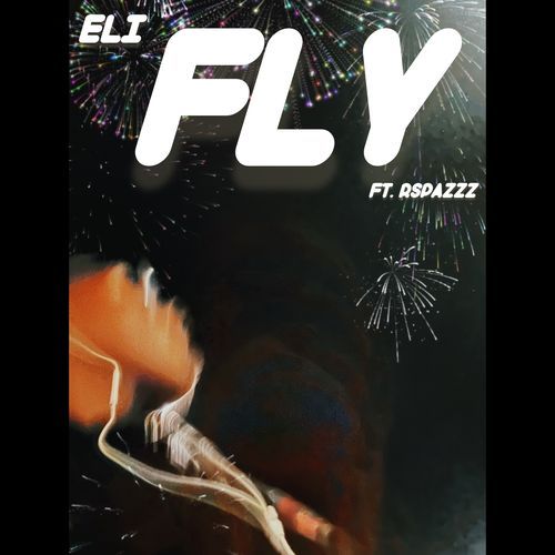 Fly_poster_image