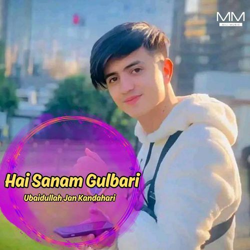 Hai Sanam Gulbari