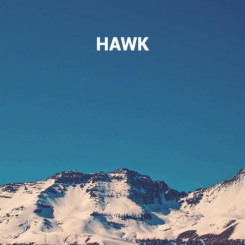 Hawk cover art