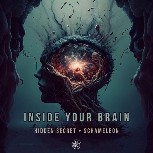 Inside Your Brain