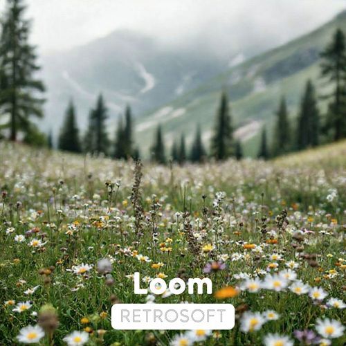 Loom
