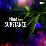 Mind After Substance