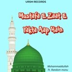 Mustafa E Zaat E Yakta Aap Hain