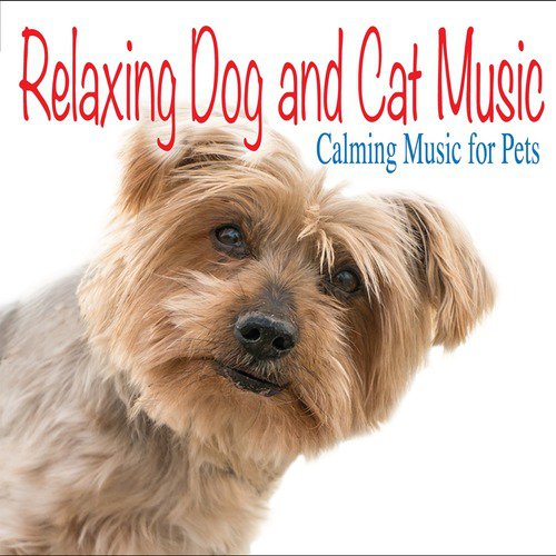 Relaxing Dog and Cat Music: Calming Music for Pets