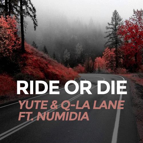 Ride or Die (feat. Numidia)_poster_image