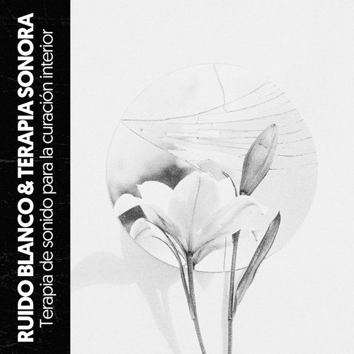 Ruido Blanco Iluminación cover art