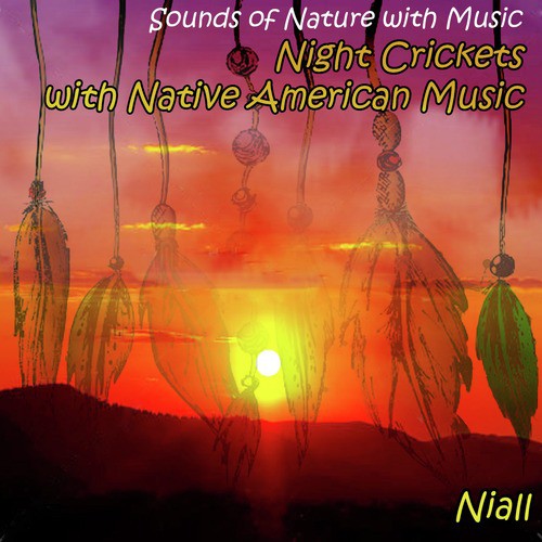 Sounds of Nature with Music: Night Crickets with Native American Music_poster_image