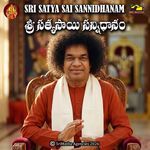 Palukarinchava Partheeswara