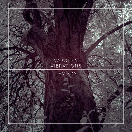 Wooden Vibrations_poster_image