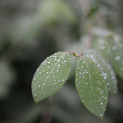 30 Sounds of Nature and Rain for Stress Relieving Meditation_poster_image