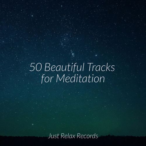 50 Beautiful Tracks for Meditation_poster_image