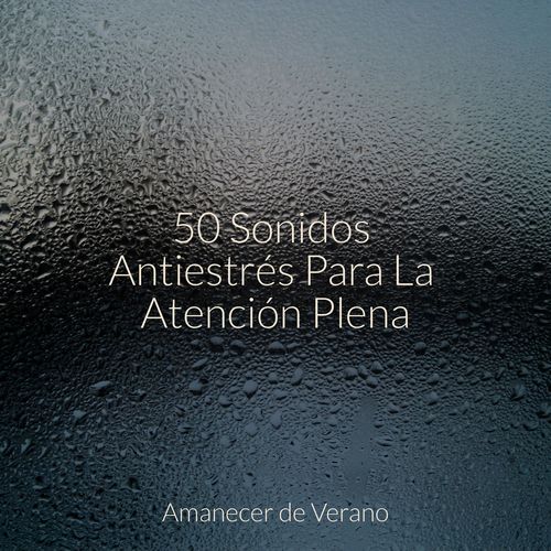 Refugio de Paz cover art