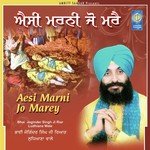 Gur Gobind Soora