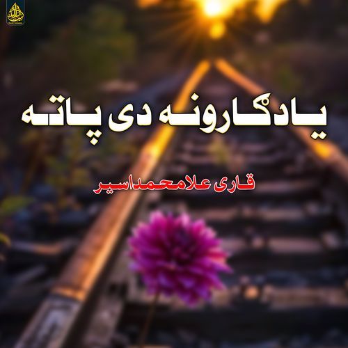 بخت بیا زهری دی دی