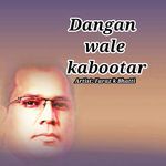 Dangan Wale Kabootar