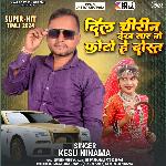 Dil Cheerin Dekh Yaara No