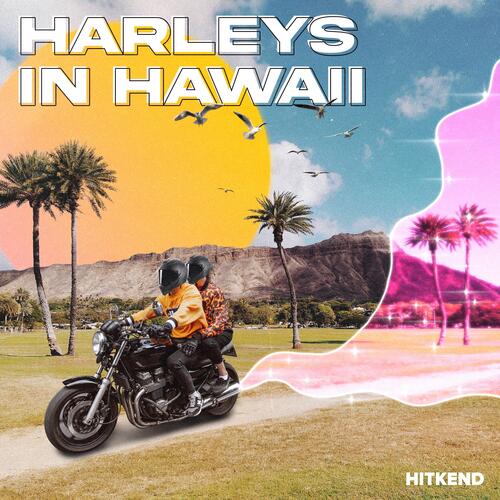 Harleys In Hawaii