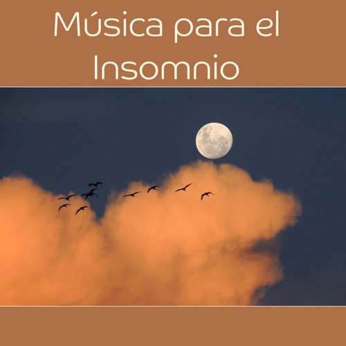 Oasis Música Relajante de Jazz cover art