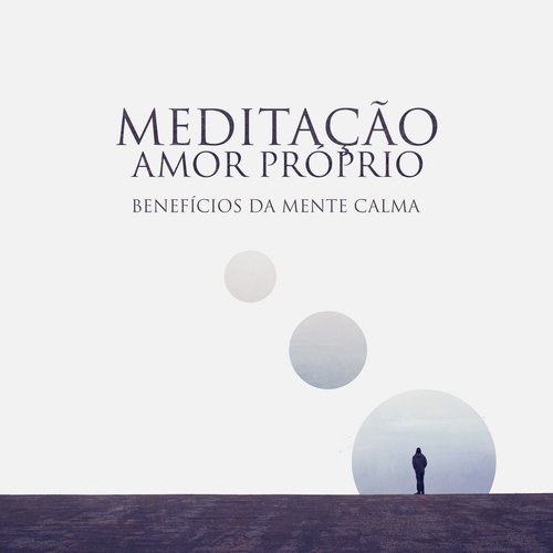 Meditação Zen cover art