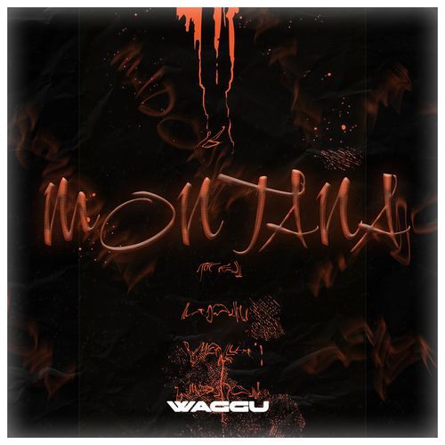 Montana cover art