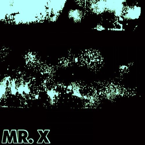 Mr.X