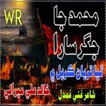 Muhammad Ja Jigar Sara Thiya Qurban Karbal Ma