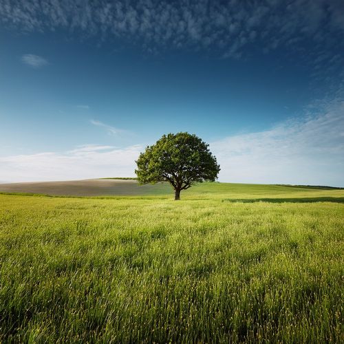 Music For Relaxation When The World Grows Quiet