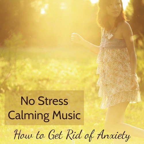 No Stress Calming Music - How to Get Rid of Anxiety_poster_image