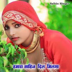 हमारा साहिन दिल मिलगा
