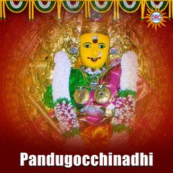 Pandugocchinadhi-NTcoAEBFeEc