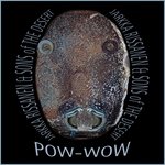 Pow-Wow