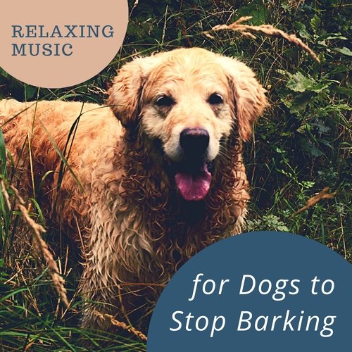 Relaxing Music for Dogs to Stop Barking_poster_image