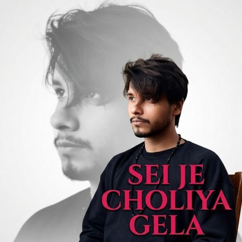 Sei je choliya gela