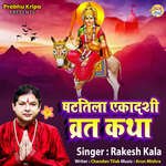 Shattila Ekadashi Vrat Katha artwork