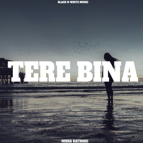 Tere Bina