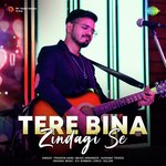 Tere Bina Zindagi Se