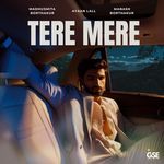Tere Mere