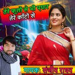 Tere Phulo Se Bhi Pyaar Tere Kato Se