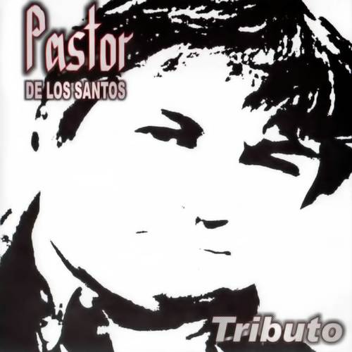 Clarito (Tributo a Los Palmeras) cover art