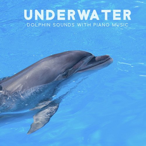 Underwater Dolphin Sounds with Piano Music (Autism Calming Sensory, Psycho Therapy for Kids)