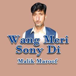 Wang Meri Sony Di-ESkyXUN1QWU