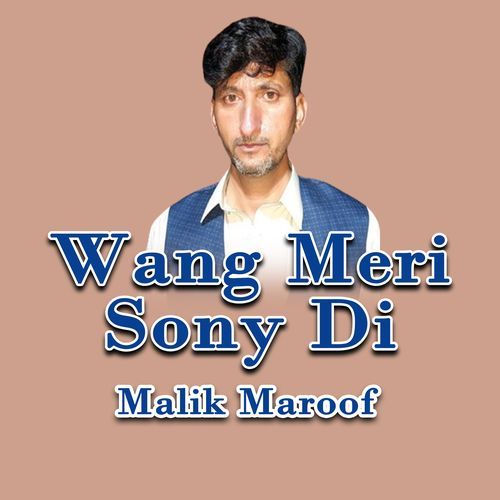 Wang Meri Sony Di