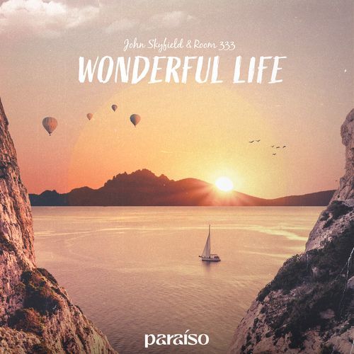 Wonderful Life_poster_image