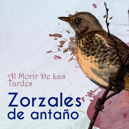 Zorzales de Antaño…Al Morir De Las Tardes_poster_image